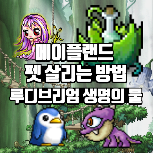 메이플랜드 펫 살리는 방법 루디브리엄 생명의 물