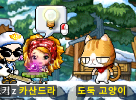 메이플랜드 도둑 고양이