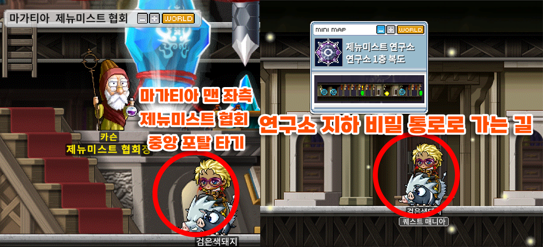 메이플랜드 마스터 몬스터 드랍 및 위치 정리 22 키메라 상세 위치