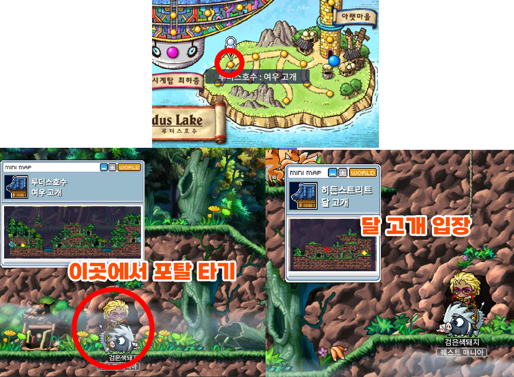 메이플랜드 마스터 몬스터 드랍 및 위치 정리 16 구미호 상세 위치