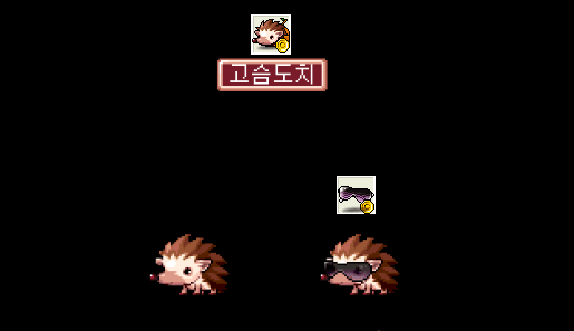 메이플랜드 펫장비 착용이미지 한눈에 보기 20 메이플랜드 고슴도치 전용 장비 착용 이미지