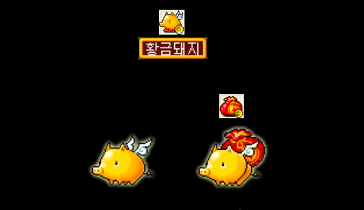 메이플랜드 펫장비 착용이미지 한눈에 보기 21 메이플랜드 황금돼지 전용 장비 착용 이미지