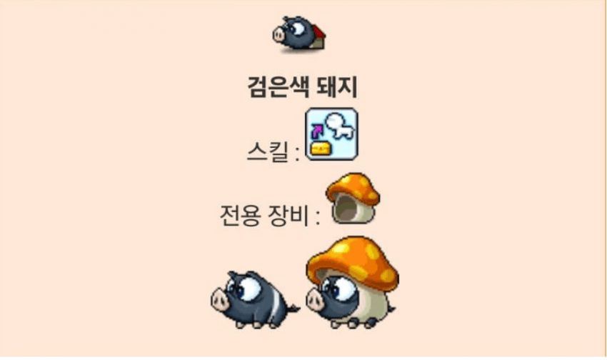 메이플랜드 펫장비 착용이미지 한눈에 보기 3 메이플랜드 검은색 돼지 전용 장비 착용 이미지