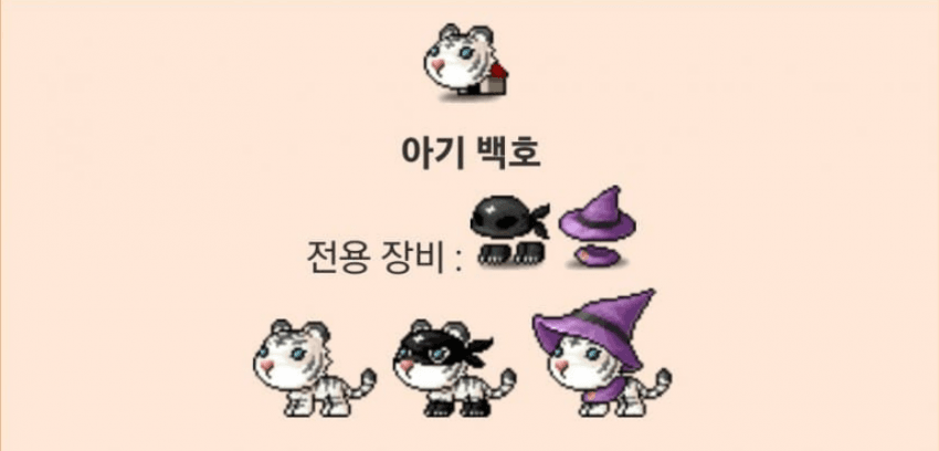 메이플랜드 펫장비 착용이미지 한눈에 보기 10 메이플랜드 아기 백호 전용 장비 착용 이미지